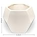Modern Ceramic Geometric Planter ( 3 Pack-White) Hexagon Succulent Plant Pot/Cactus Flower Pot/Container