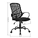 GreenForest Office Chair for Computer Desk Mesh Mid-Back Swivel Task Chair with Special Design Back,Black