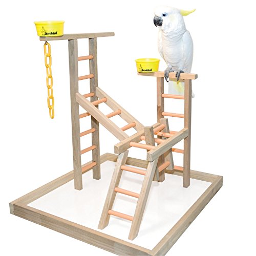 Acrobird PL 24 2-Cup and Chains Pet Toy, 24-Inch