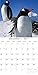 Cute Animals- Penguins 2017 Monthly Wall Calendar, 12