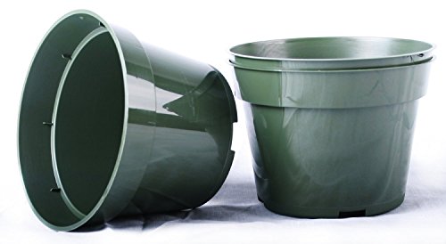 30 NEW 4 Inch Dillen Plastic Nursery Pots - Azalea Style ~ Pots ARE 4 Inch Round At the Top and 2.8 Inch Deep. Color: Green