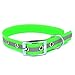 Bright Reflective collar
