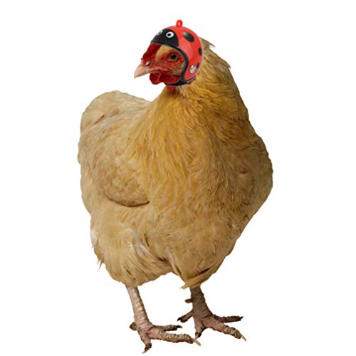 Huhn Helm Haustier Hut Lustige Haustier Schutzausrüstung Sonne Regen Kopfbedeckung Spielzeug Kostüme Zubehör für Vogel Hühner Haustierzubehör (Marienkäfer) – Bild 8