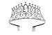Bride To Be Tiara and Bride To Be Sash and FREE Garter | Premium Bachelorette Party Supplies | 3 Piece Bridal Shower Party Kit | Bride To Be Sash and Elegant Rhinestone Bride To Be Tiara | FREE Garter