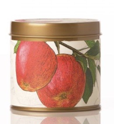 Rosy Rings Signature Tin Candle (Spicy Apple)