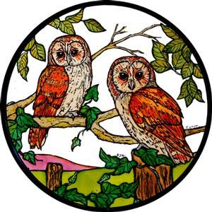 Static Window Cling in a Barn Owls Design