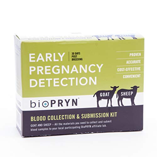 BioPRYN Early Pregnancy Detection Kit for Sheep/Goat