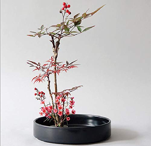 UUsave Ikebana Kenzan Flower Frog Round Flower Arranging Frog Spiky Frog Fixed Tools Art Floral Arrangement Japanese Pin Holder (Diameter 1.3"/34mm)