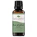 Plant Therapy Eucalyptus Radiata Essential Oil 30 mL (1 oz) 100% Pure, Undiluted, Therapeutic Grade
