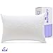 Cushion Lab Extra Support Adjustable Shredded Memory Foam Pillow for Back, Stomach, Side Sleeper - Sleep Comfort & Neck Support Bamboo Pillow, Oeko-Tex Hypoallergenic Cover, CertiPUR US, Queen Size