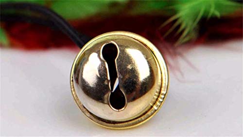 5 CARDEON+Feather+Teaser+Exerciser+Kitten