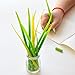 Fashionclubs Pack Of 12 Poo-leaf Green Grass-blade Pen,Ballpoint Silicone Ink Pen