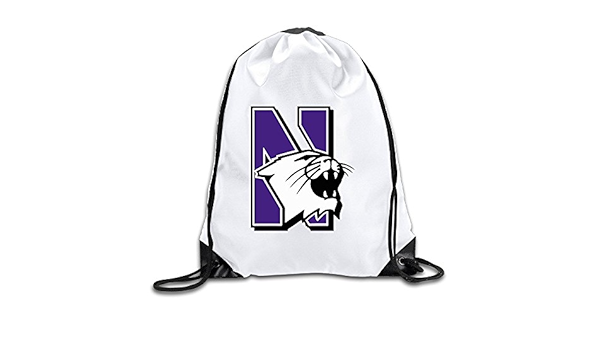northwestern backpack