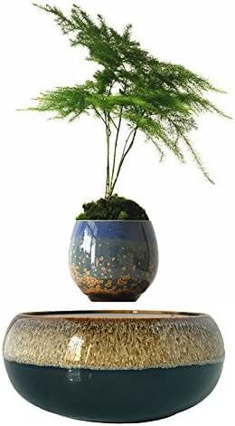High-tech Product Air Bonsai Suspension Flower Pot Potted Plant Levitate Gift (ceramic pot-3)