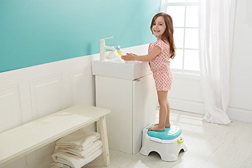 5 Fisher+Price+DRM00+Royal+Stepstool+Potty