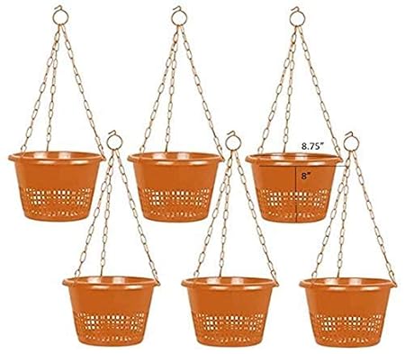 Orchid Hanging Pots Brown Color with Metal Chain - (Set of 6) TT Traders