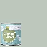 Inspired Eggshell Interior Colorspot Paint Sample, Water .02,  8-oz