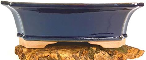 Organic Seeds: Large Bonsai NGLE Dark Glazed Pot 12" X 9.5" X 3.75" ~ Copper Treated by Farmerly