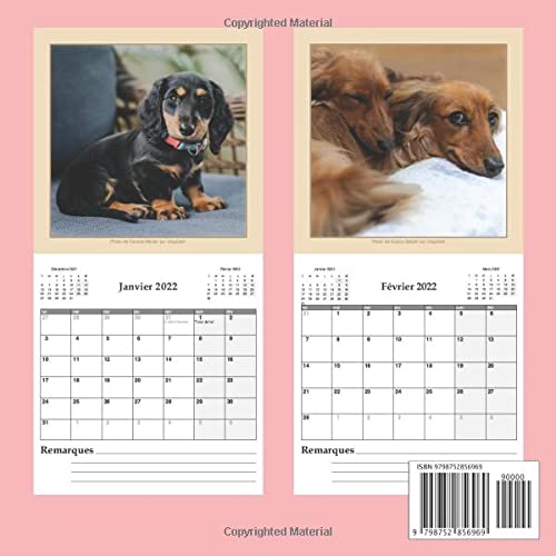 Calendrier Teckel 2023 Teckel Calendrier 2022: Restez Au Top De Votre Vie: Calendrier De 18 Mois  De Décembre 2021 À Mai 2023 Pour Les Amoureux Des Chiens [Cover Design:  Sleep Comfort: Size 8.5X8.5: Glossy] :