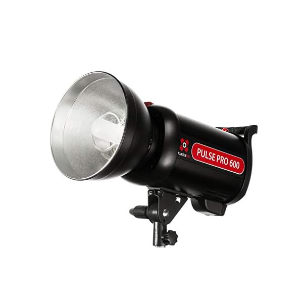 Quadralite Pulse Pro 600 Studioblitz, Monoblock HSS Leistung 600 WS * Blitzdauer: 1/5000-1/800s * Leitzahl 76 m * 5600…