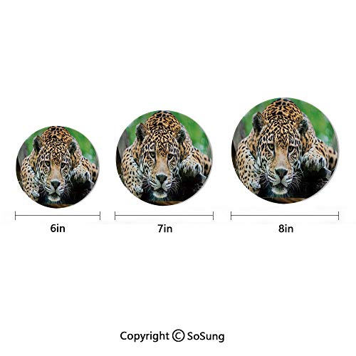 Jungle 7" Ceramic Decorative Plate,South American Jaguar Wild Animal Carnivore Endangered Feline Safari Image Orange Black Green,for Living Room, Bedroom, Hallway Console Side Table Decor