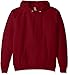 Hanes P170 EcoSmart Hooded Sweatshirt