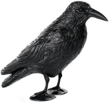Hillfield Raven / Crow Decoy Bird Scarer, 38 cm, Black, Set of 1 - 12, 25 cm x 38 cm - Image 4