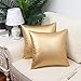 BRAWARM Faux Leather Throw Pillow Covers 18 X 18 Inches - Gold Leather Pilow Covers Pack of 2, Solid Dyed Leather Pillowcases for Couch Bed Sofa Garden Home Decorative