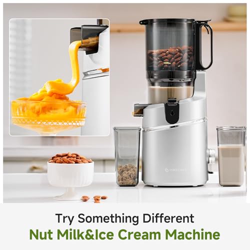 AMZCHEF Automatic Cold Press Juicer Machines 250W Liberate Your Hands -135MM Opening and 2L Capacity Slow Juicers for Whole Fruit and Vegetable