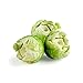 Chef'n Twist'n Sprout Brussels Sprout Prep Tool, Green -