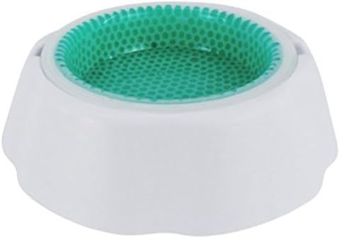 Frosty Bowl Chilled Pet Water Bowl