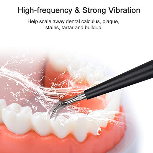 Dental Tools Electric Dental Calculus Remover Tartar Remover for Teeth Cleaning Kit for Home Use(Black)