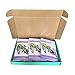 Pack of 12 Sachets with Natural Lavender Fresh Package for Closets Clothes Freshener and Drawers Cupboards Storage Accessories