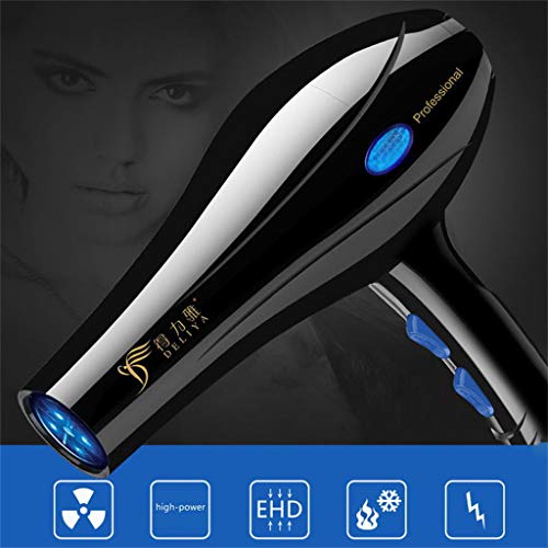 Startview 2200W Professional Hair Dryer Household Hairdryer Salon Nozzle Travel Beauty Kit (Black, Free)