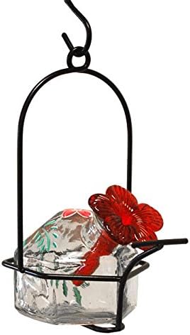 Amazon Com Parasol Clear Botanica Lunch Pail Hummingbird Feeder