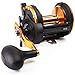 Sougayilang Round Baitcasting Fishing Reel for Catfish, Salmon/Steelhead, Striper Bass, Pike,Inshore Surf Fishing Reels, Conventional Reel