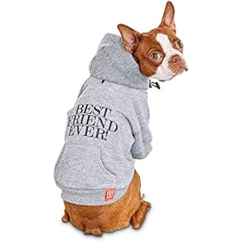 reddy hoodie friend dog ever gray