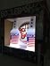 Poleish Sports Bottle Bash LED America Stars and Stripes Accessory Does Not Include Poles (Polish Horseshoes, Beersbee), 10.5 inch Disc (522-NITE)