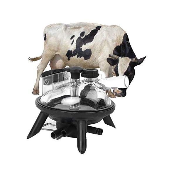 Arzja 240Ml Collettore del Latte della, Mungitrice Elettrica Pezzo di Ricambio