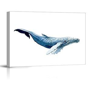 Canvas Wall Art - Large Humpback Whale on a White Background - Giclee Print Gallery Wrap Modern Home Art Ready to Hang - 12x18 inches