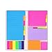 Super Sticky Notes by Housim - Super Glue, Bookmark, Prioritize and Set Goals with Color Coding, 60 Ruled (4x6), 40 Dotted (3.8x3), 40 Blank (3.5x2.6), 60 Orange and Pink (1.8×2.4), 25 per PET Color