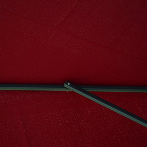 Caymus 9 Ft Market Outdoor Table Patio Umbrella with Push Button Tilt and Crank,8 Ribs, Wine Red