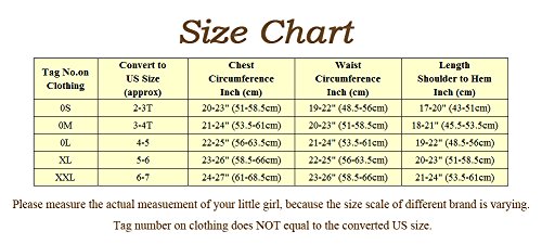 Dressy Daisy Girls' Princess Anna Tulip Embroidery Ballet Tutus Dancewear Fairy Costume Size 3-4T Multicoloured