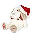 [Harrods] Harrods Teddy Bear / Christmas My First Puppy My First Christmas Puppy 2017 [genuine]