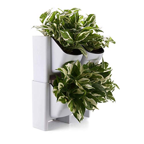 T4U Plastic Self Watering Vertical Living Wall Planter Set White Pack of 2, Stackble Wall Mounted for Indoor Outdoor Herb Vegetable Flower Plant (Renewed)
