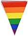 Rainbow Pennant Banner Party Accessory
