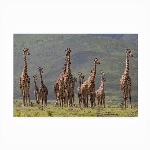 Trademark Fine Art Outdoor Canvas Art - Bee Thalin 'Giraffe Family' Wall Art fo…