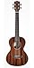 Kala KA-TG Gloss Tenor Ukulele