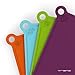 Vremi 5 Piece Plastic Cutting Board Holder Set - BPA Free Dishwasher Safe Colorful Kitchen Cutting Boards Bamboo Holder - Small Color Coded Chopping Boards for Meat Vegetables and Fish