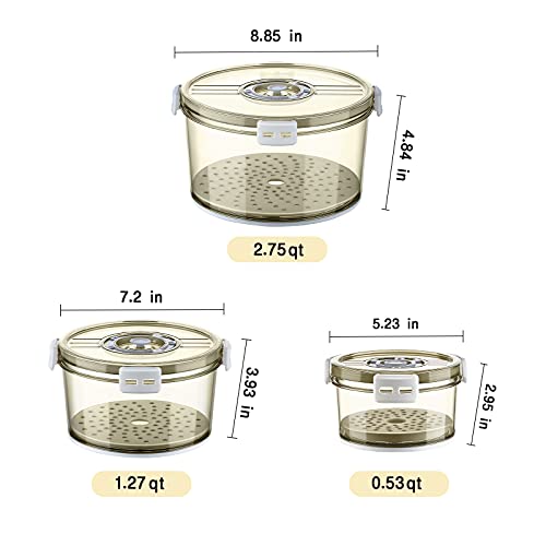 Fruit Storage Containers for Fridge, GONGQIN 3 Packs Fresh Vegetable Saver Sealed Box Containers With Drain Plate for Refrigerator Food Salad Lettuce Keeper BPA Free